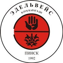 Международные соревнования по каратэ – «Эдельвейс» на высоте