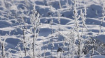 В Беларуси к концу недели похолодает