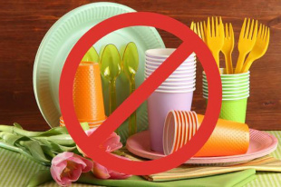 Нужна ли она – «одноразовая посуда»?