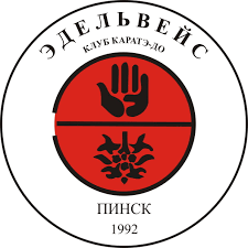 Очень уверенно и достойно выступили воспитанники городского клуба каратэ-до «Эдельвейс» на крупнейших международных соревнованиях по каратэ WKF