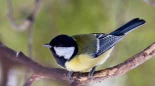 Гололедица и до -15°С ожидается в Беларуси 11 марта