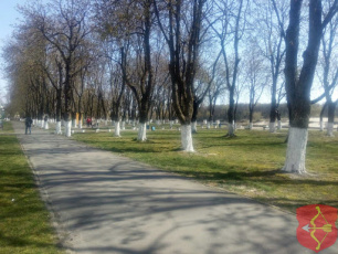 В Пинске объявлен месячник по благоустройству города