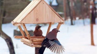 В Беларуси в выходные будет до +9°С