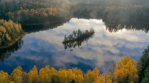 До +14°С и без осадков ожидается 1 ноября в Беларуси