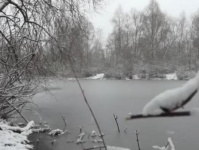 Трагедия на водоёме. Зимняя рыбалка оказалась последней для 60-летнего пинчанина