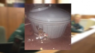 Вандализму – нет! Хулиганам – по заслугам!