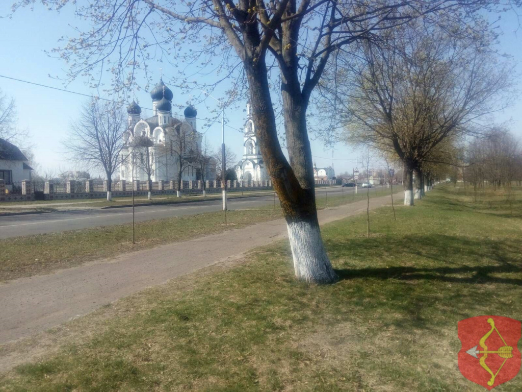 1304202004.jpg 1304202004.jpg