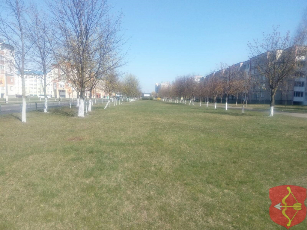 1304202005.jpg 1304202005.jpg
